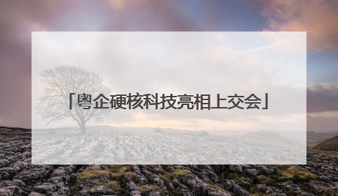 粤企硬核科技亮相上交会
