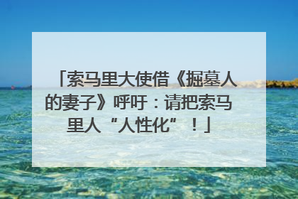 索马里大使借《掘墓人的妻子》呼吁：请把索马里人“人性化”！
