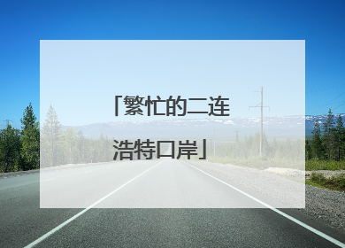 繁忙的二连浩特口岸