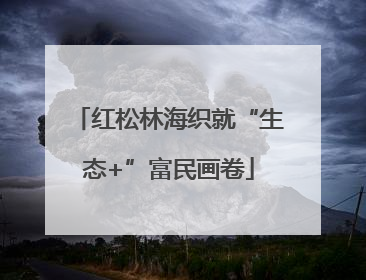 红松林海织就“生态+”富民画卷