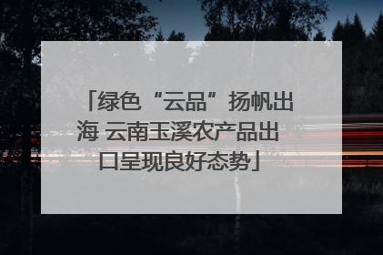 绿色“云品”扬帆出海 云南玉溪农产品出口呈现良好态势