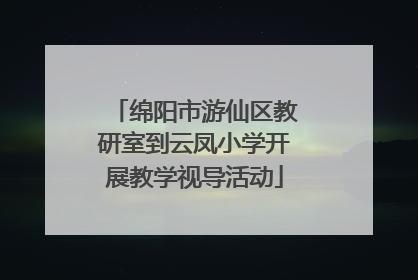 绵阳市游仙区教研室到云凤小学开展教学视导活动