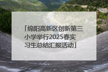 绵阳高新区创新第三小学举行2025春实习生总结汇报活动