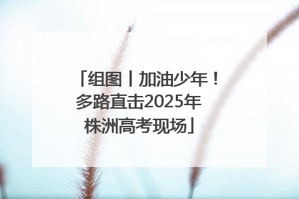 组图丨加油少年！多路直击2025年株洲高考现场