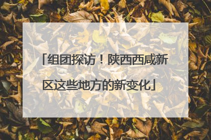 组团探访！陕西西咸新区这些地方的新变化