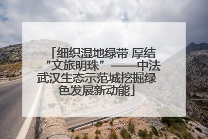 细织湿地绿带 厚结“文旅明珠”——中法武汉生态示范城挖掘绿色发展新动能