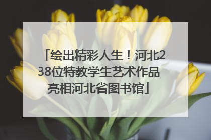 绘出精彩人生！河北238位特教学生艺术作品亮相河北省图书馆