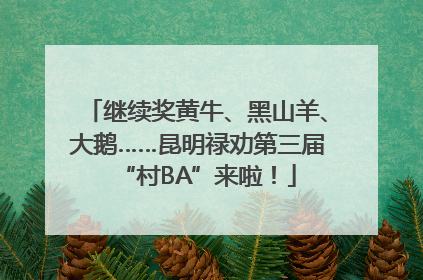 继续奖黄牛、黑山羊、大鹅……昆明禄劝第三届“村BA”来啦！
