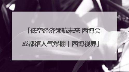 低空经济领航未来 西博会成都馆人气爆棚｜西博视界