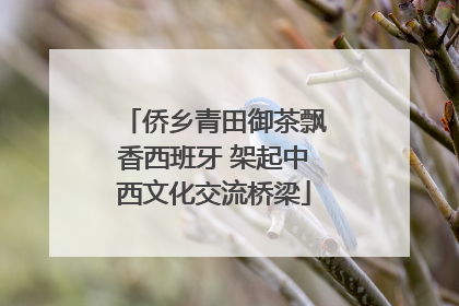 侨乡青田御茶飘香西班牙 架起中西文化交流桥梁