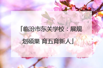 临汾市东关学校：展规划硕果 育五育新人