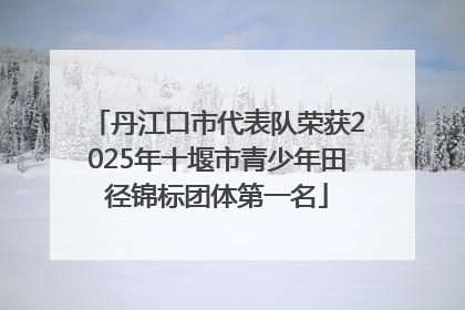 丹江口市代表队荣获2025年十堰市青少年田径锦标团体第一名