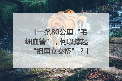 一条80公里“毛细血管”，何以撑起“祖国立交桥”？