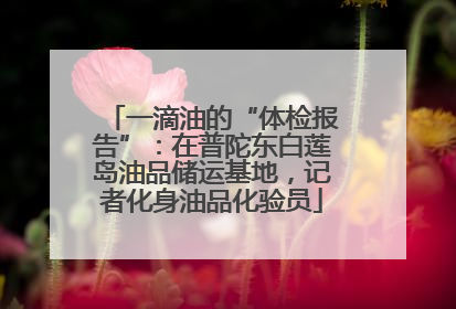 一滴油的“体检报告”：在普陀东白莲岛油品储运基地，记者化身油品化验员