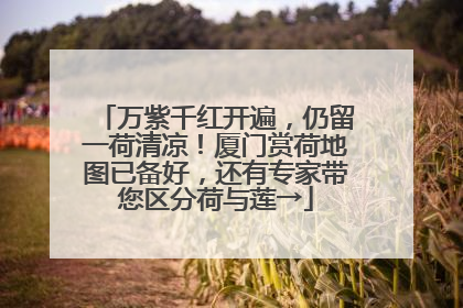 万紫千红开遍，仍留一荷清凉！厦门赏荷地图已备好，还有专家带您区分荷与莲→