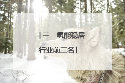 三一氢能稳居行业前三名