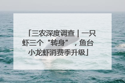 三农深度调查｜一只虾三个“转身”，鱼台小龙虾消费季升级