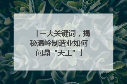 三大关键词，揭秘温岭制造业如何问鼎“天工”