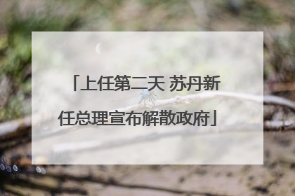 上任第二天 苏丹新任总理宣布解散政府