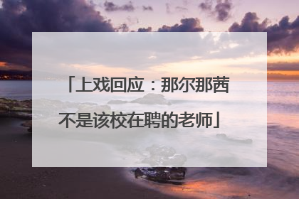上戏回应：那尔那茜不是该校在聘的老师