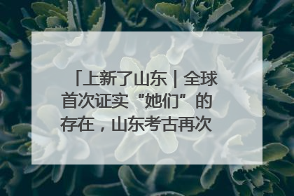 上新了山东｜全球首次证实“她们”的存在，山东考古再次震惊世界！