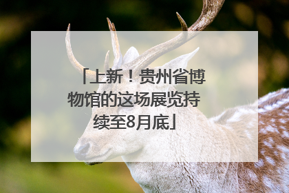 上新！贵州省博物馆的这场展览持续至8月底