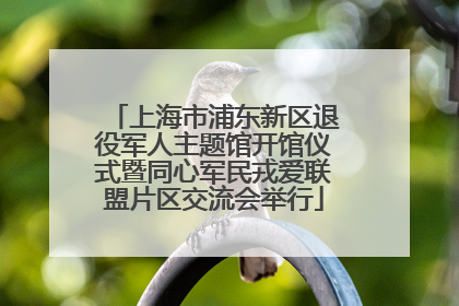 上海市浦东新区退役军人主题馆开馆仪式暨同心军民戎爱联盟片区交流会举行