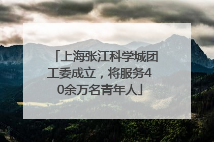 上海张江科学城团工委成立，将服务40余万名青年人