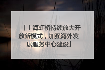 上海虹桥持续放大开放新模式，加强海外发展服务中心建设