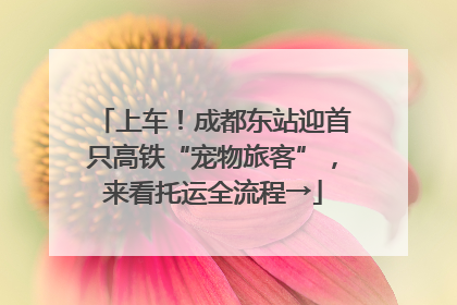 上车！成都东站迎首只高铁“宠物旅客”，来看托运全流程→