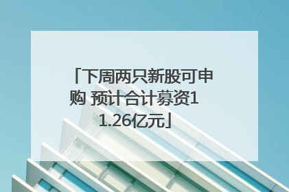 下周两只新股可申购 预计合计募资11.26亿元
