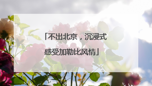 不出北京，沉浸式感受加勒比风情