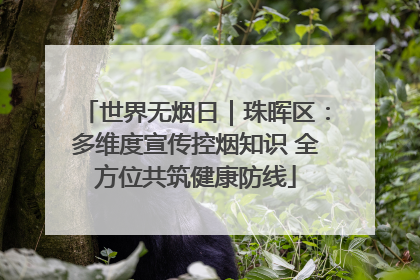 世界无烟日｜珠晖区：多维度宣传控烟知识 全方位共筑健康防线