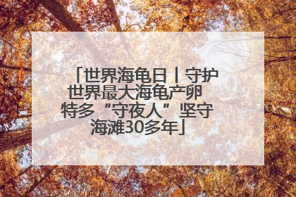 世界海龟日丨守护世界最大海龟产卵 特多“守夜人”坚守海滩30多年