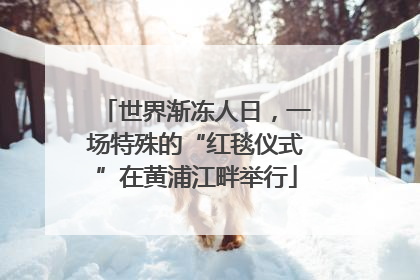 世界渐冻人日，一场特殊的“红毯仪式”在黄浦江畔举行