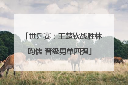 世乒赛：王楚钦战胜林昀儒 晋级男单四强