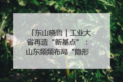 东山晓鲁｜工业大省再造“新基点”：山东频频布局“隐形冠军”背后