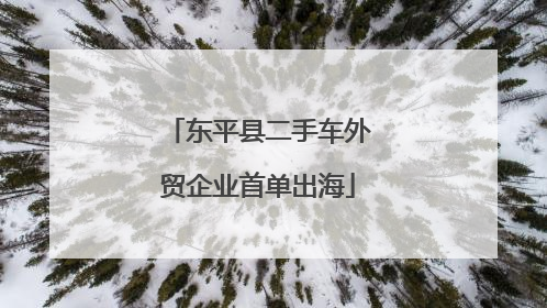 东平县二手车外贸企业首单出海