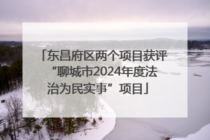 东昌府区两个项目获评“聊城市2024年度法治为民实事”项目