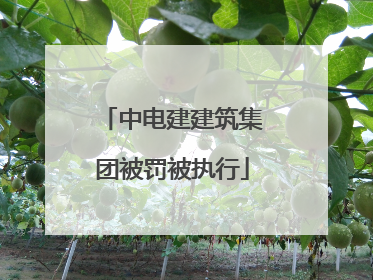 中电建建筑集团被罚被执行