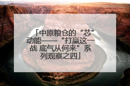 中原粮仓的“芯”动能——“打赢这一战 底气从何来”系列观察之四