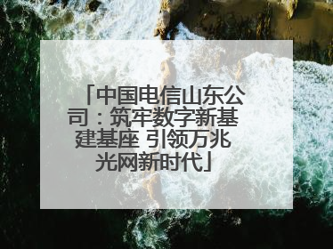 中国电信山东公司：筑牢数字新基建基座 引领万兆光网新时代