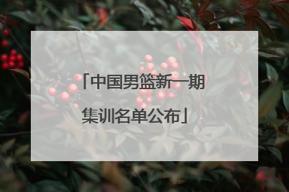 中国男篮新一期集训名单公布