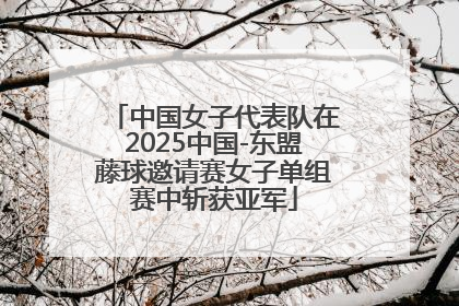 中国女子代表队在2025中国-东盟藤球邀请赛女子单组赛中斩获亚军