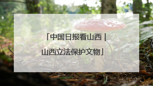 中国日报看山西｜山西立法保护文物