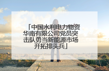 中国水利电力物资华南有限公司党员突击队勇当新能源市场开拓排头兵