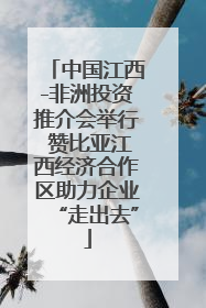 中国江西-非洲投资推介会举行 赞比亚江西经济合作区助力企业“走出去”