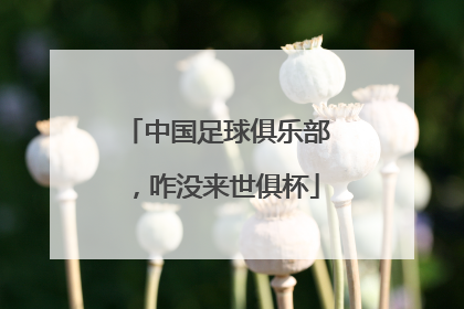 中国足球俱乐部，咋没来世俱杯