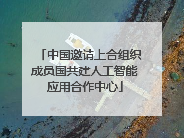 中国邀请上合组织成员国共建人工智能应用合作中心