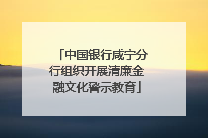 中国银行咸宁分行组织开展清廉金融文化警示教育